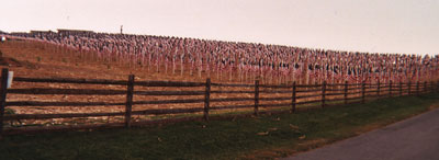 3000 Flags
